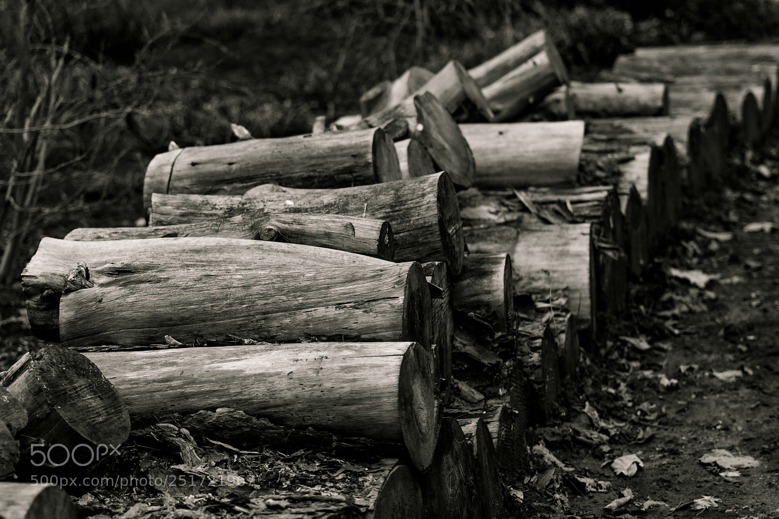 Canon EOS 650D (EOS Rebel T4i / EOS Kiss X6i) sample photo. Wood pile (91/365) photography