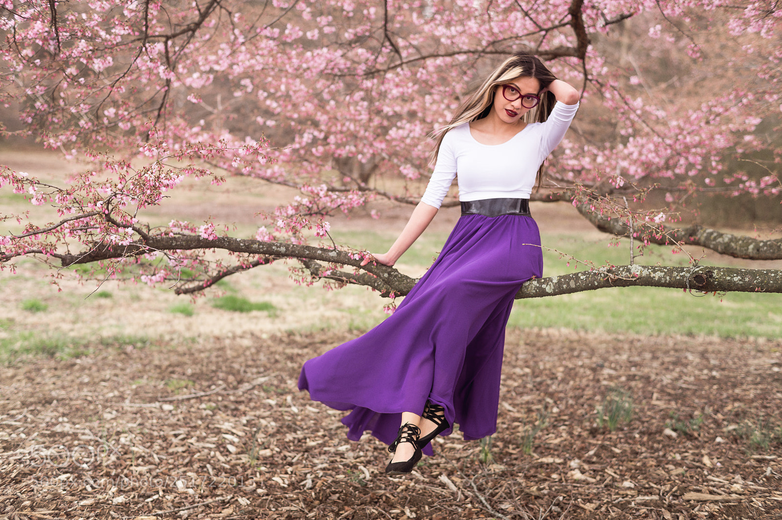 Nikon Df sample photo. Cherry blossom perch photography