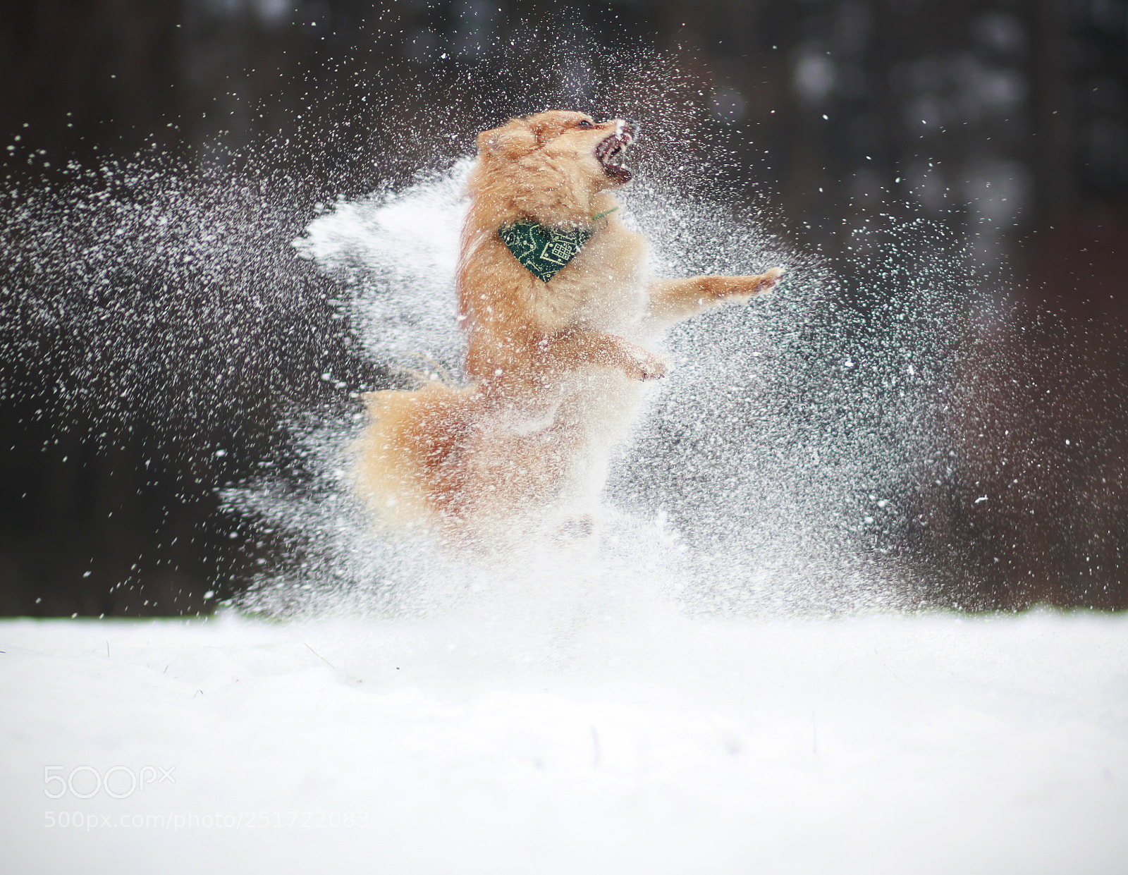 Canon EOS 7D sample photo. Blizzard photography