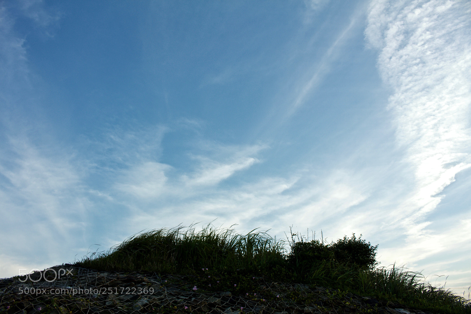 Canon EOS 700D (EOS Rebel T5i / EOS Kiss X7i) sample photo. Untitled photography