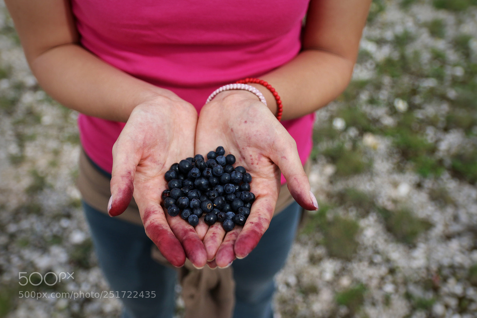 Canon EOS 70D sample photo. Berries photography