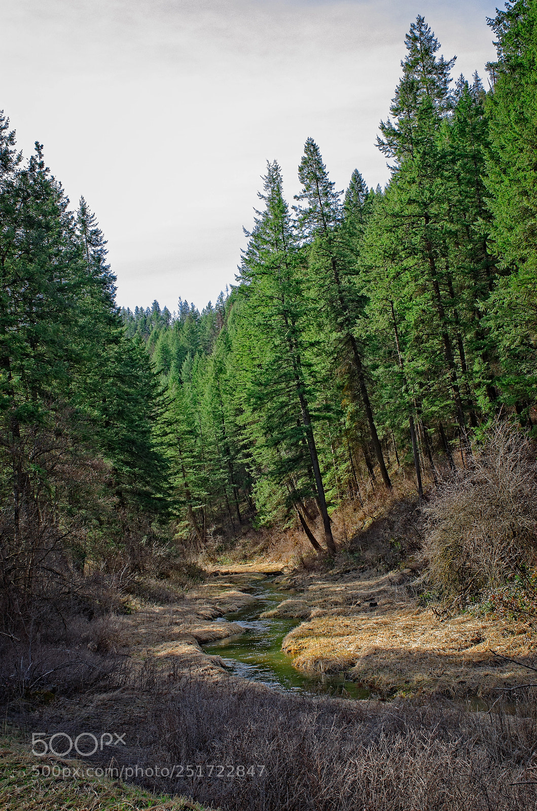 Nikon D7000 sample photo. Mountain stream photography