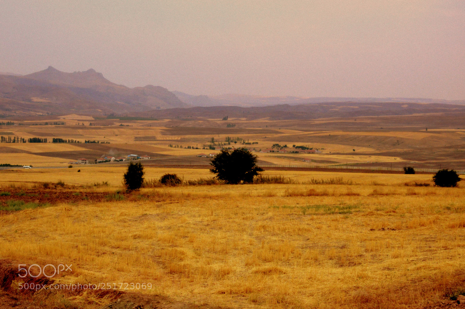 Nikon D3200 sample photo. Sivas bozkırı photography