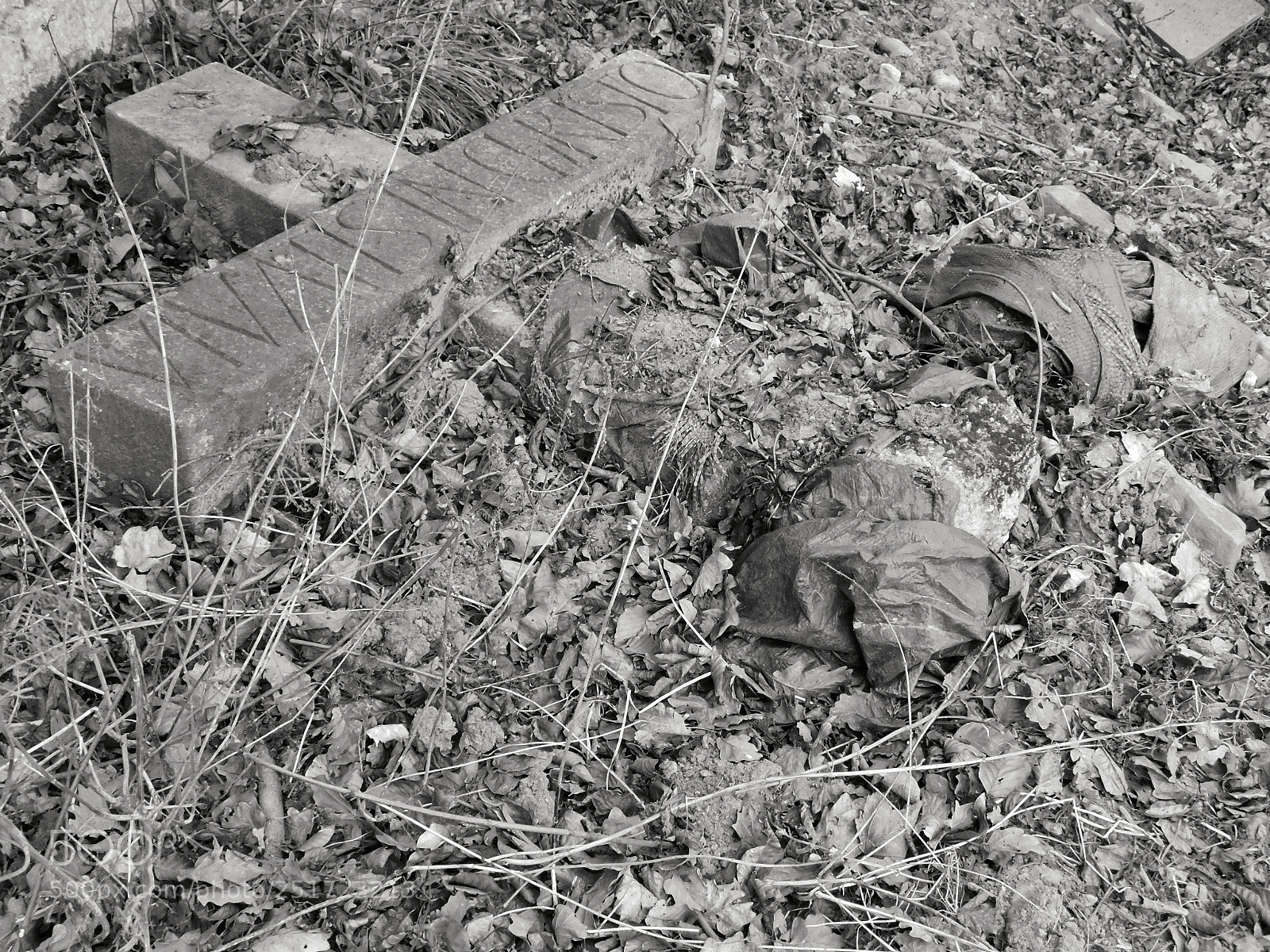 Nikon Coolpix B500 sample photo. Vergessenes kreuz im wald photography