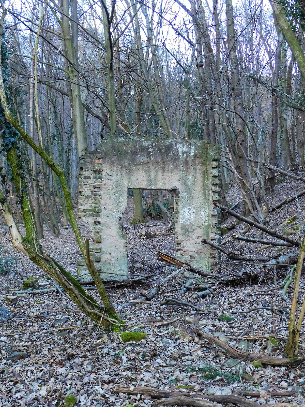 Nikon Coolpix B500 sample photo. Ruinen eines industriegeländes photography