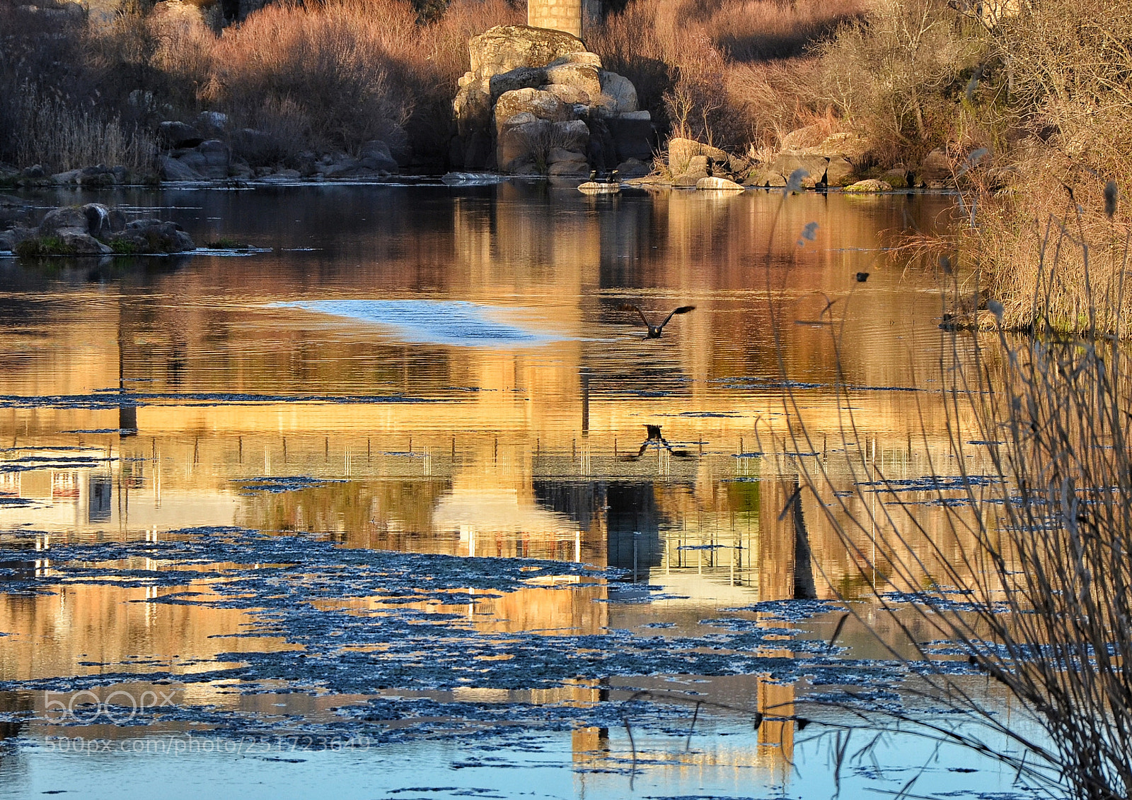 Nikon D5100 sample photo. Reflejos del atardecer photography