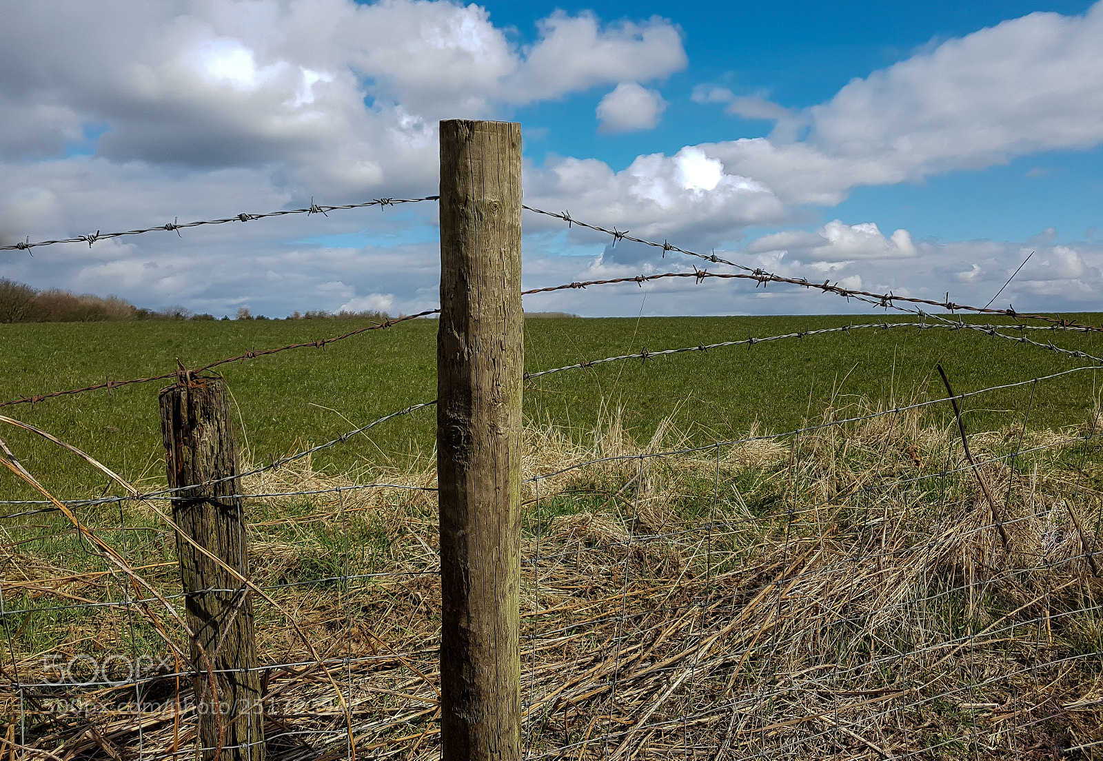 Samsung Galaxy S7 sample photo. Fence post and blue photography