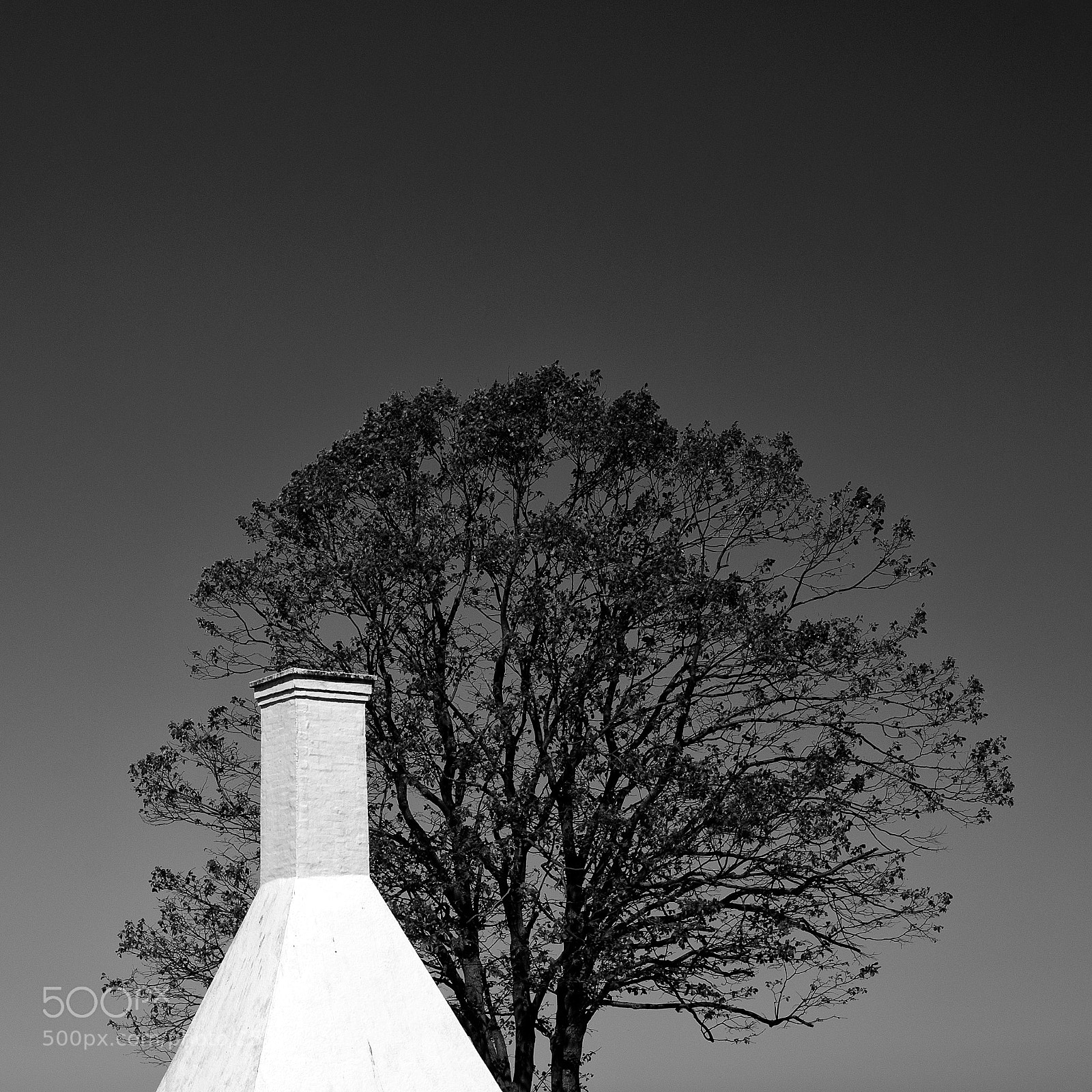 Nikon D700 sample photo. Simplicity photography