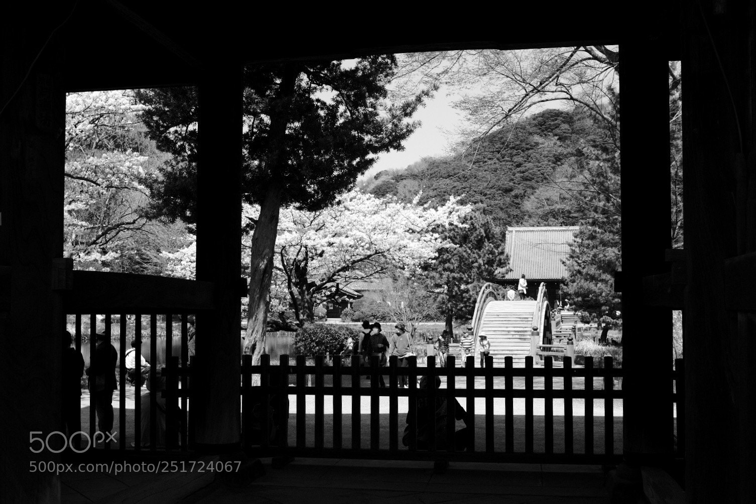 Fujifilm X100F sample photo. Spring photography