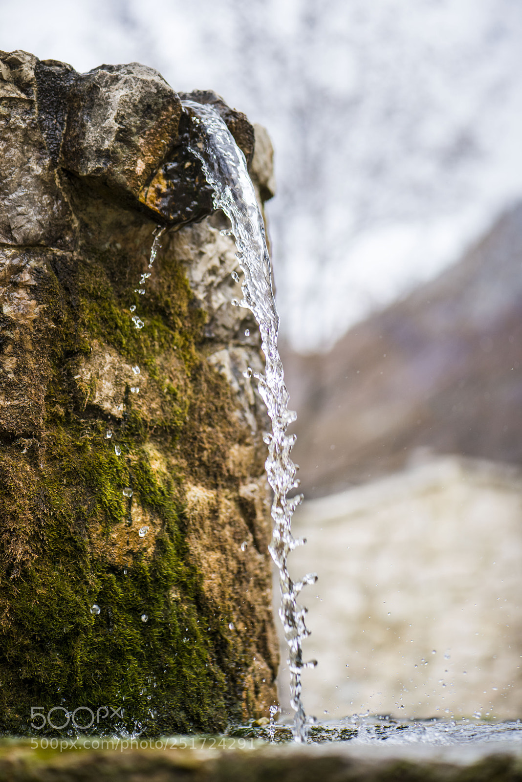 Nikon D810 sample photo. Fontana photography