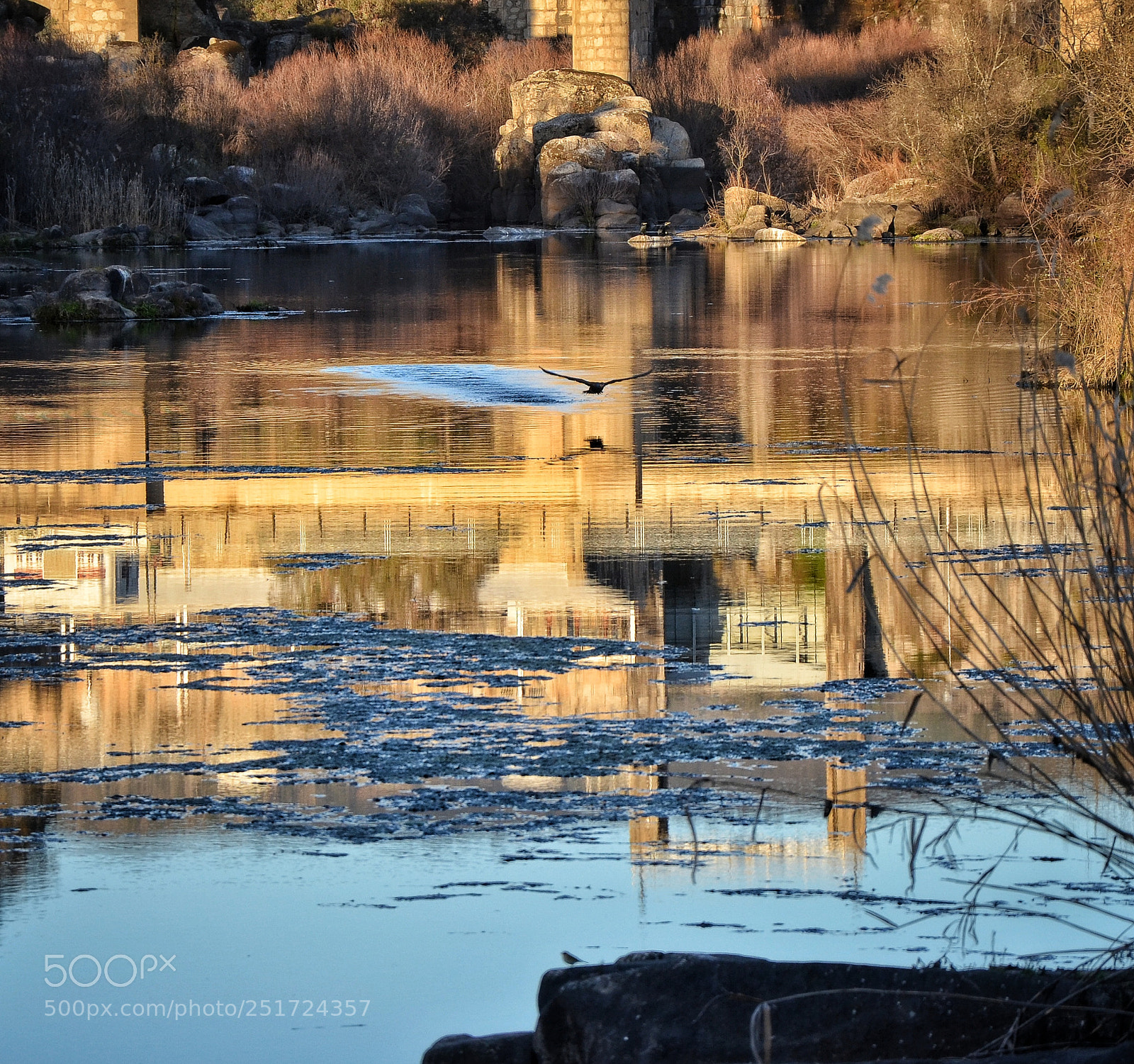 Nikon D5100 sample photo. Reflejos del atardecer photography