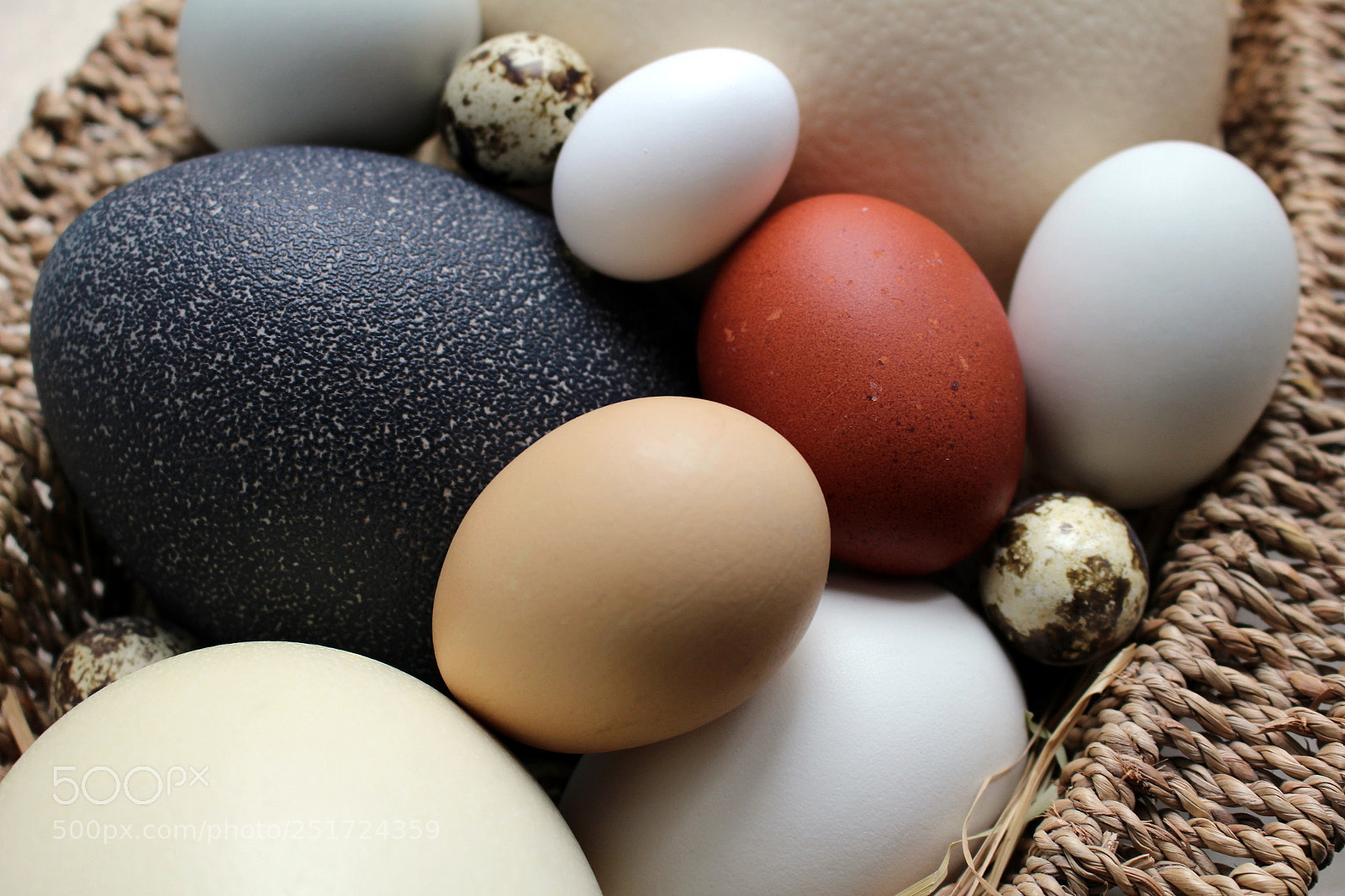 Canon EOS 100D (EOS Rebel SL1 / EOS Kiss X7) sample photo. Basket of eggs photography