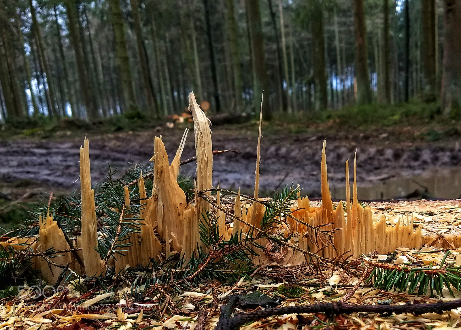 Motorola Moto G (5) Plus sample photo. Skyline photography