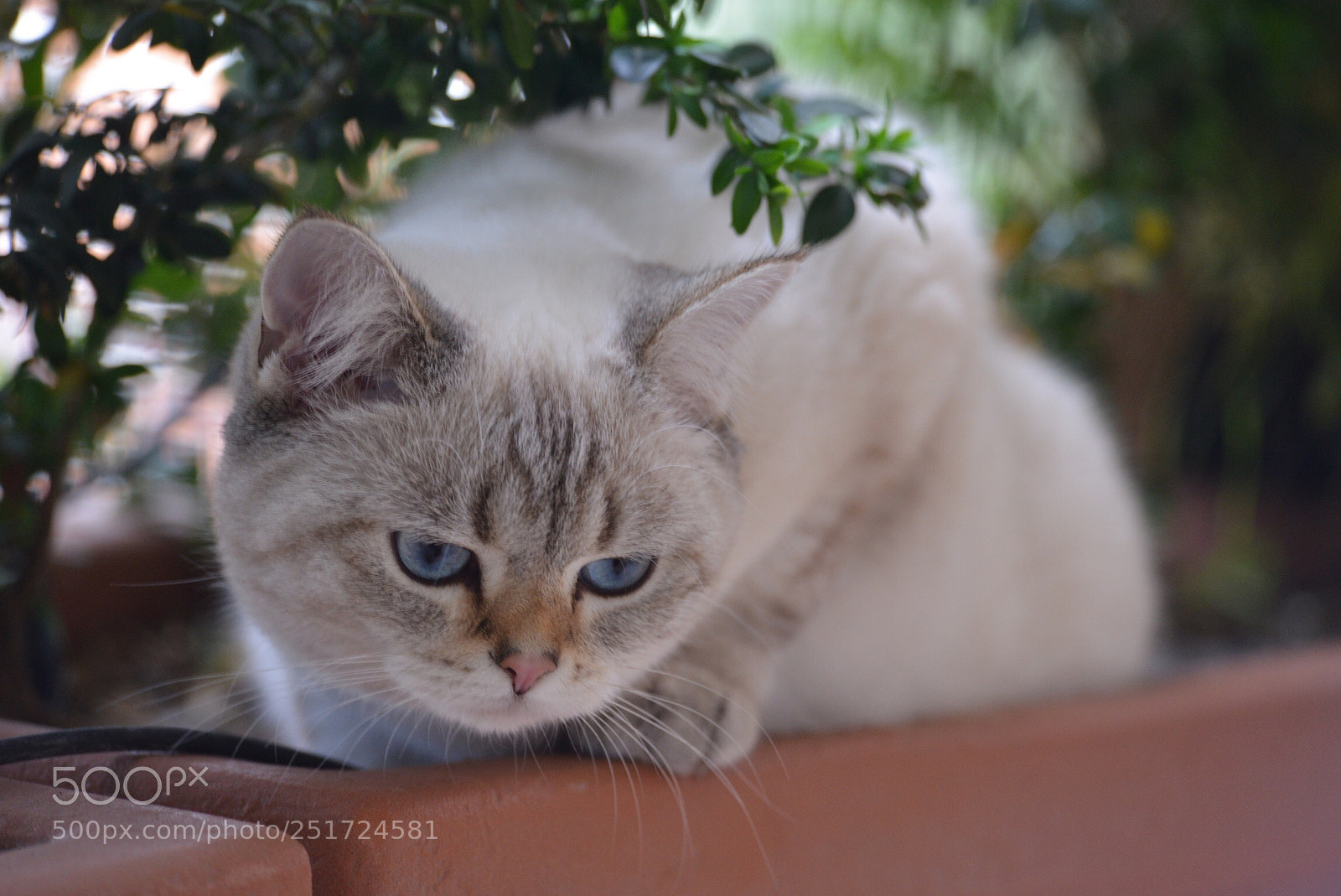 Nikon D600 sample photo. Untitled photography
