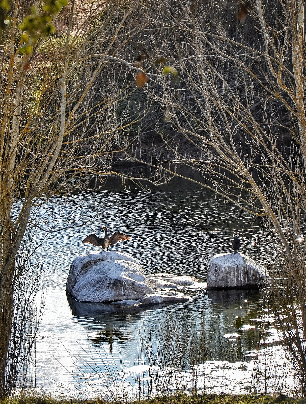 Nikon D5100 sample photo. Los lunes al sol. photography