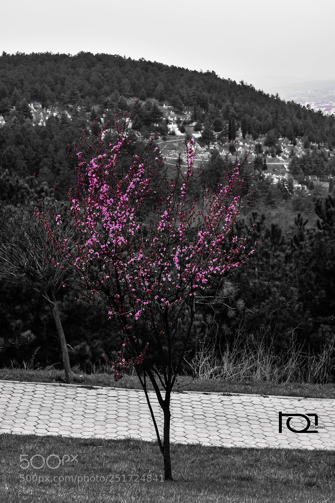 Nikon D5300 sample photo. Untitled photography
