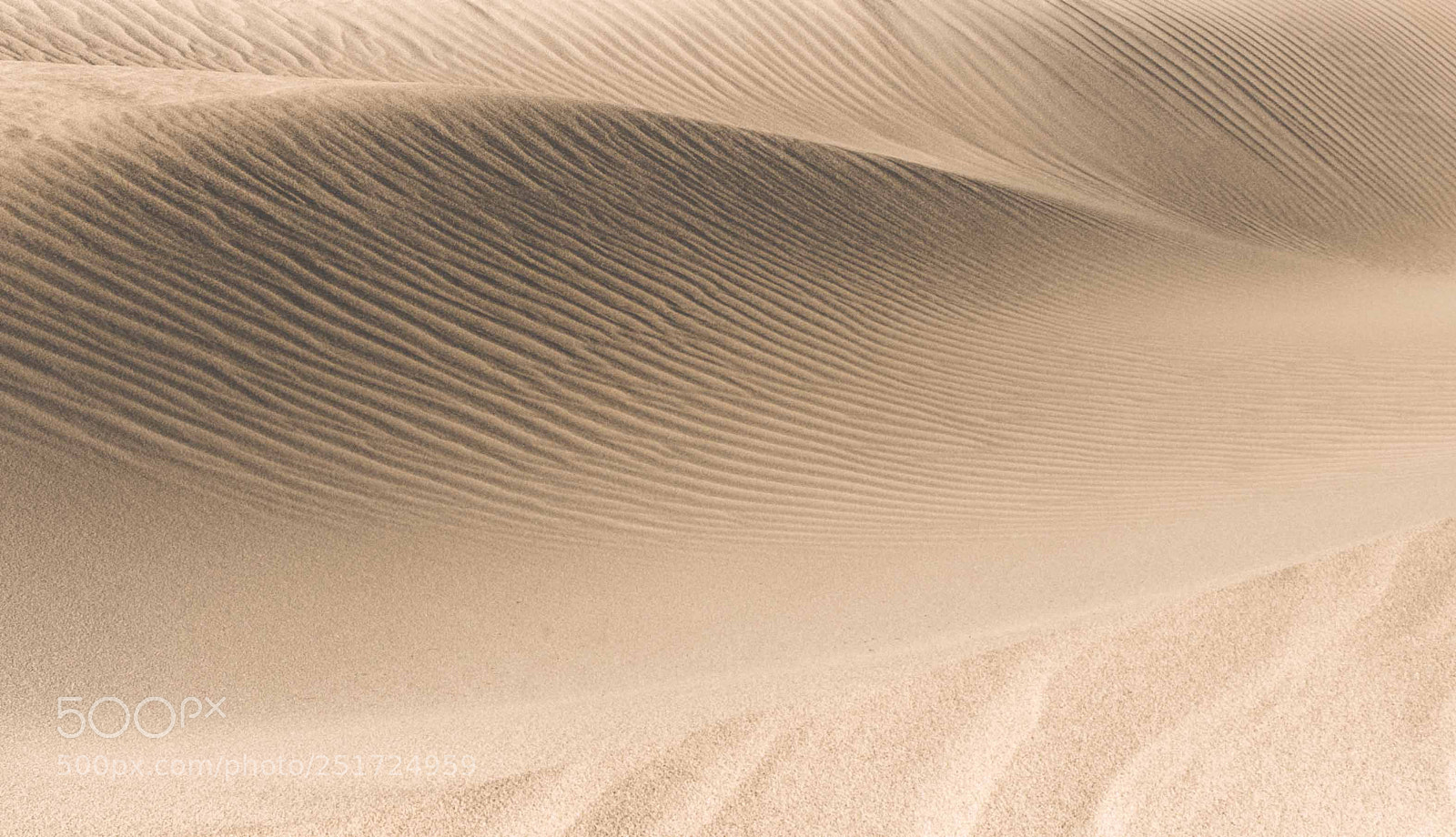 Nikon D850 sample photo. Dunes photography