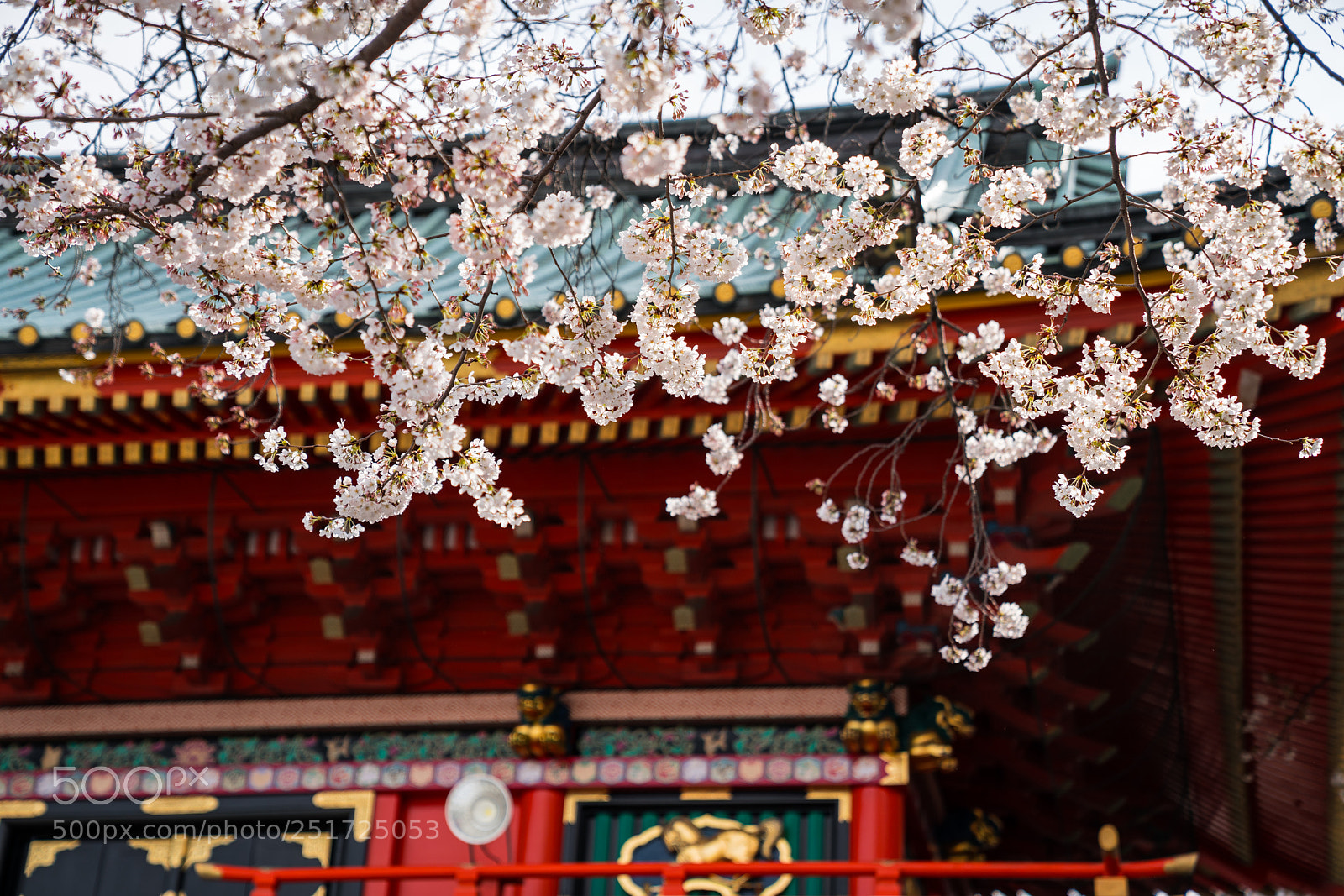 Sony a7R III sample photo. Dsc photography