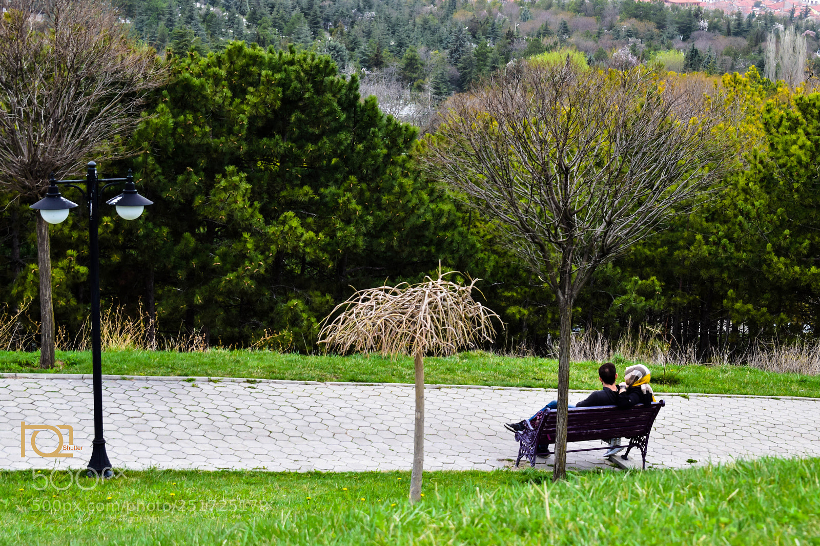 Nikon D5300 sample photo. Untitled photography