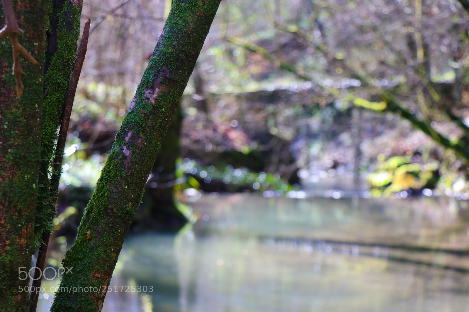 Canon EOS 80D sample photo. Img photography