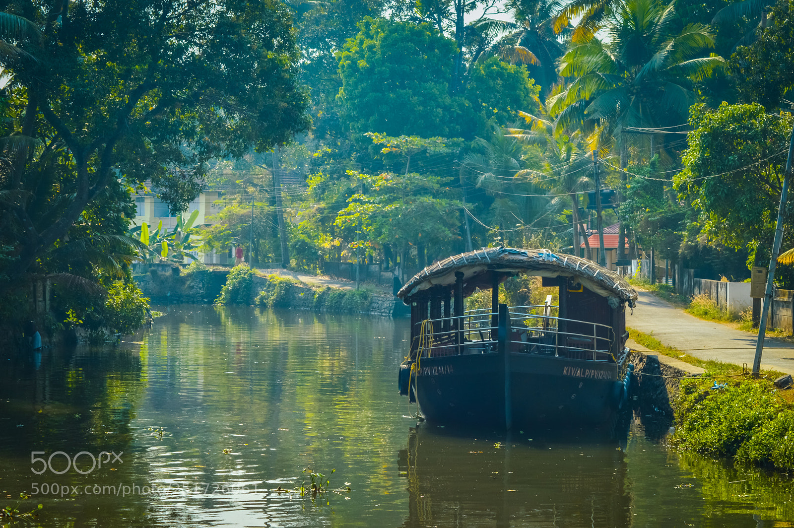 Nikon D3200 sample photo. Green till your eyes photography