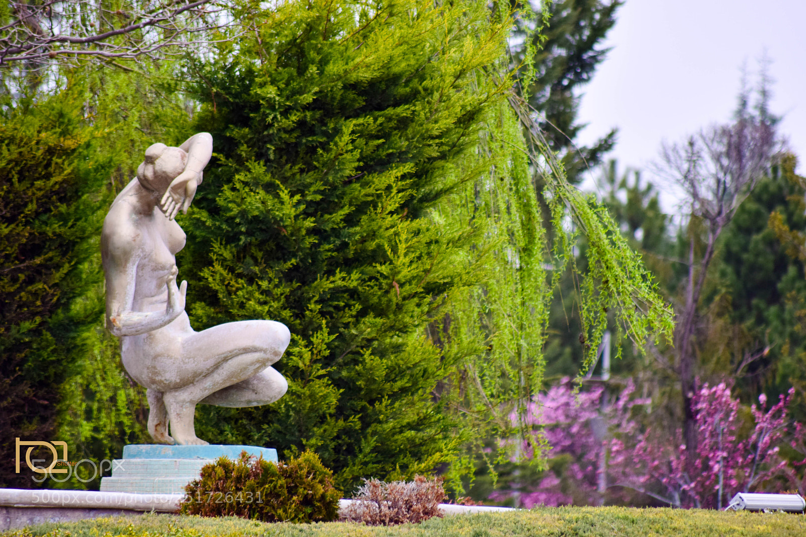 Nikon D5300 sample photo. Untitled photography