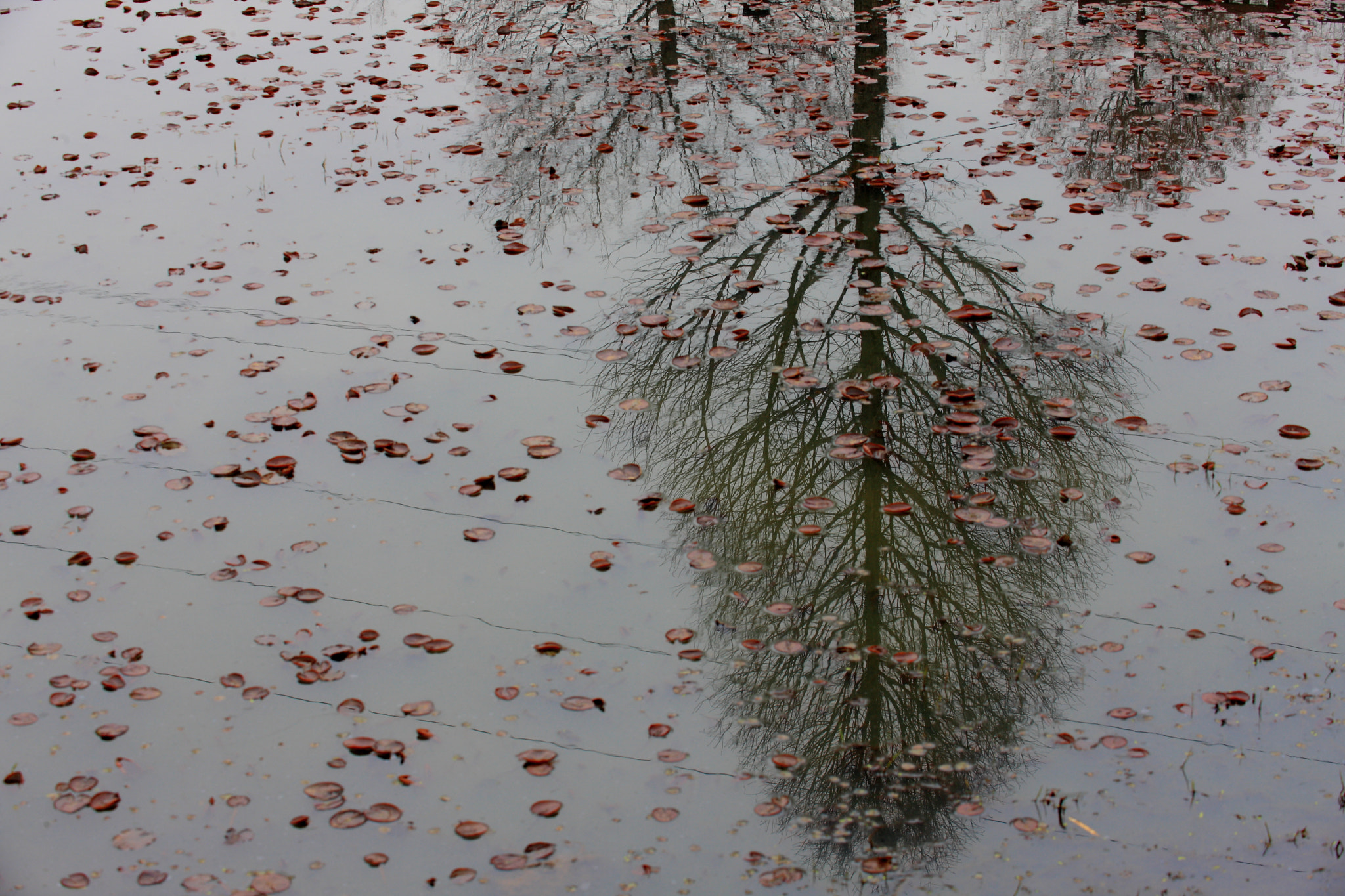 Canon EOS-1Ds Mark III sample photo. Say good-bye photography