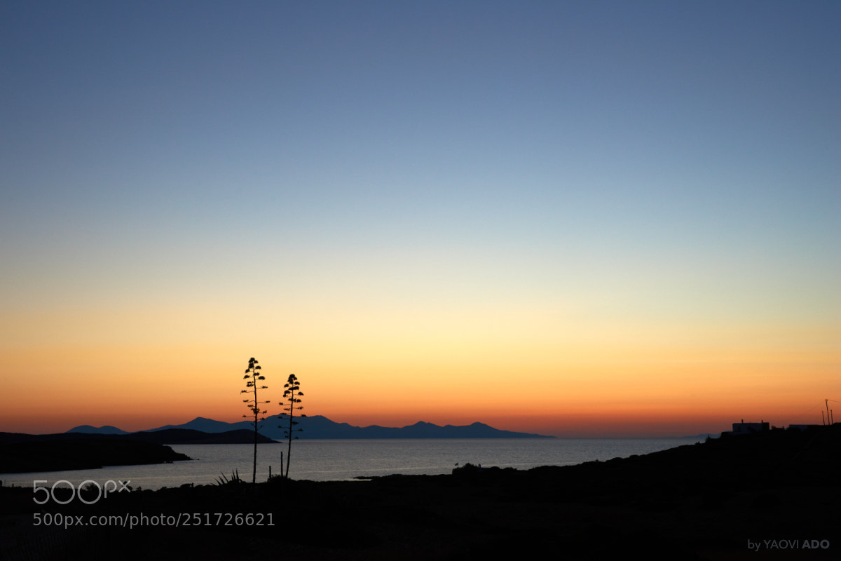 Sony SLT-A99V sample photo. Sunset photography