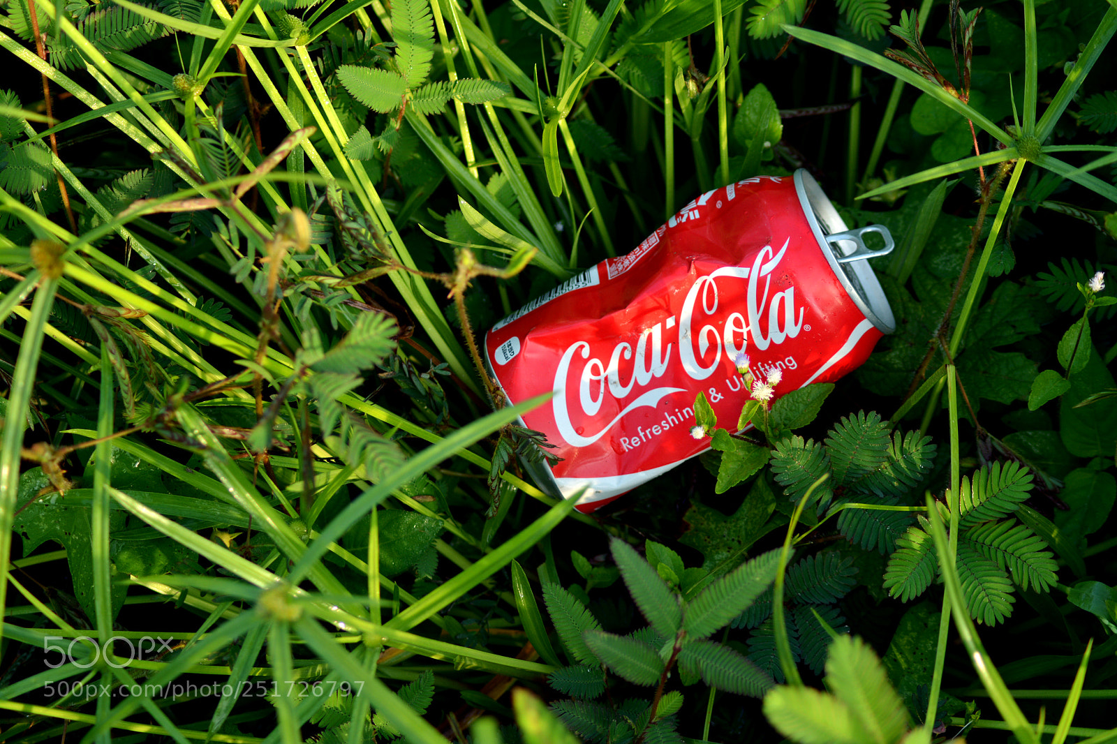 Nikon D7100 sample photo. Coca cola photography
