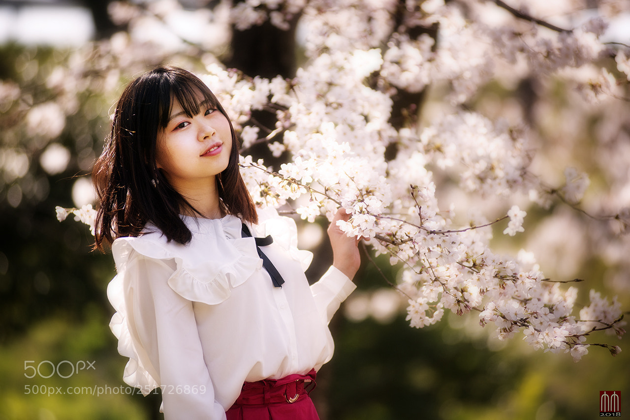 Nikon D810 sample photo. Kayo 21yod in cherry photography