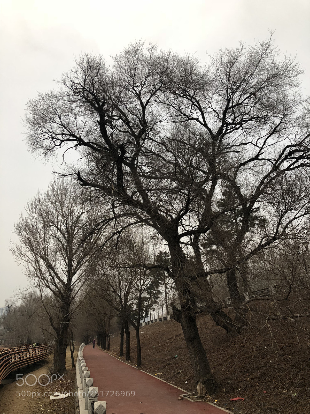 Apple iPhone X sample photo. Pathway photography
