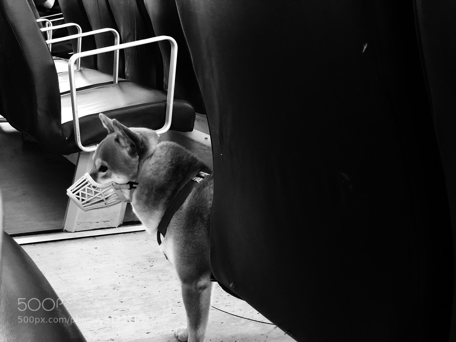 Apple iPhone X sample photo. Untitled photography