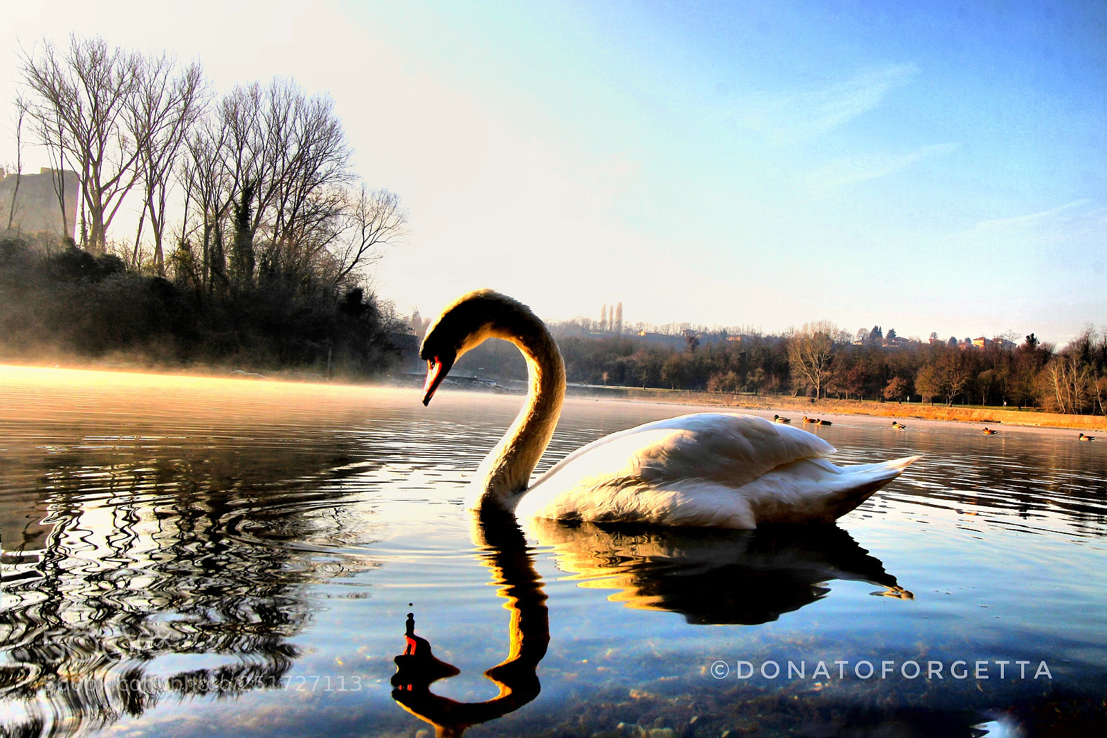 Canon EOS 7D sample photo. Specchio e riflessi photography