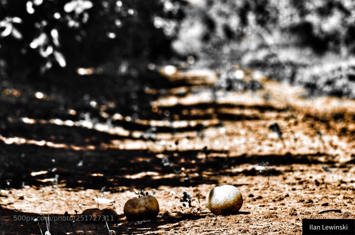 Canon EOS 80D sample photo. Untitled photography