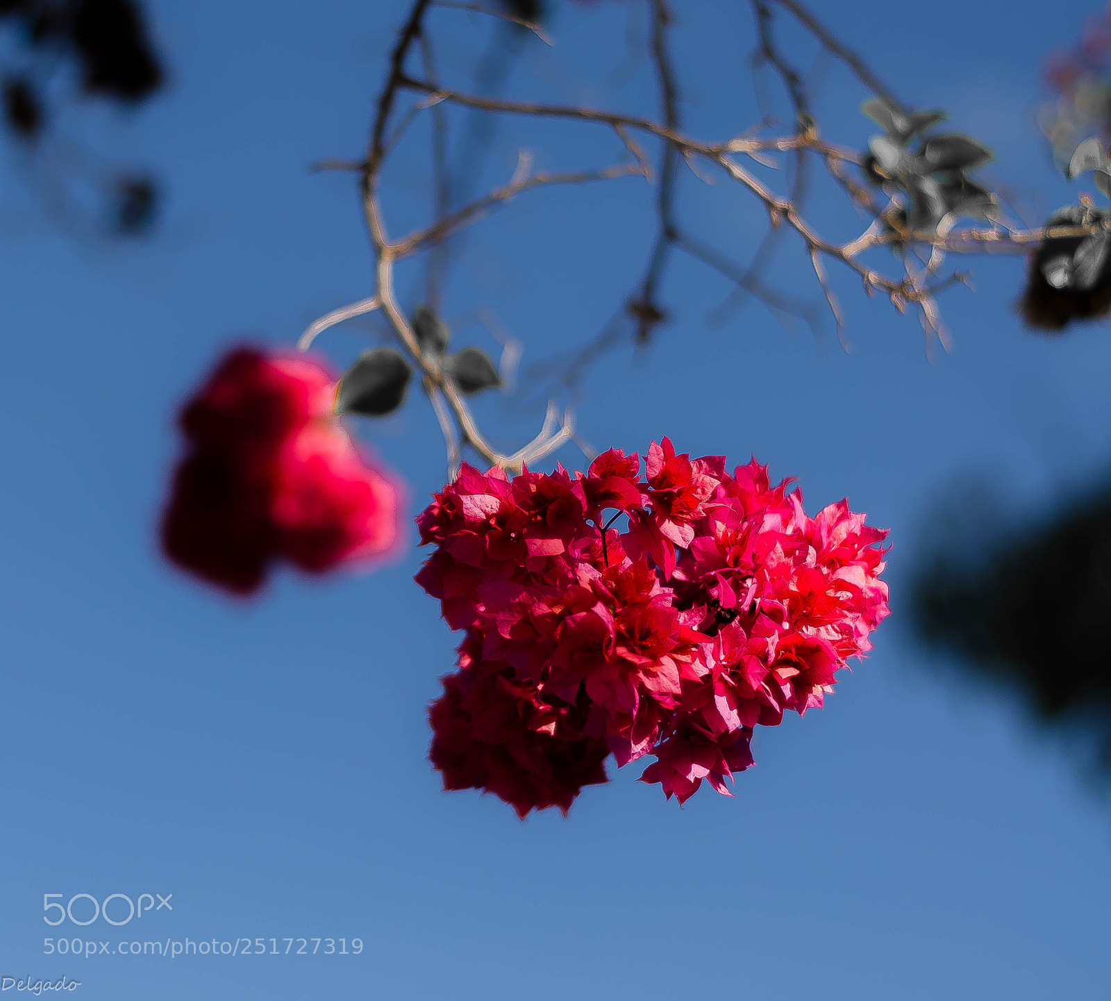 Nikon D7000 sample photo. Untitled photography