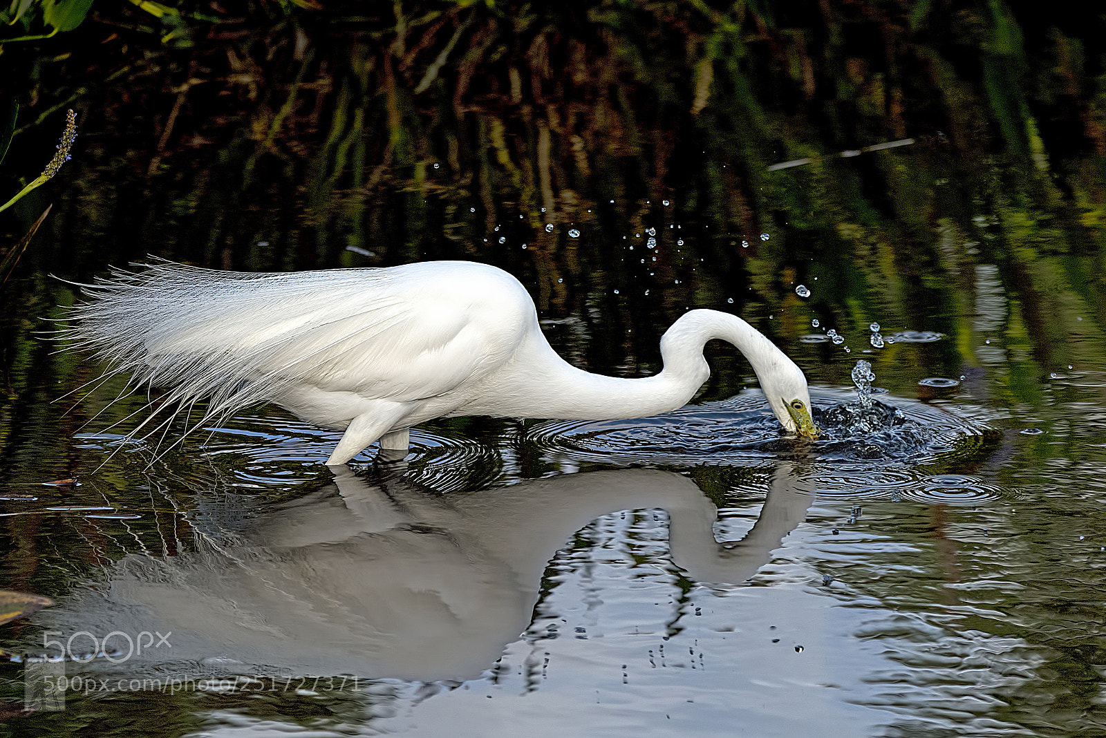 Nikon D810 sample photo. Hunting 1725 photography