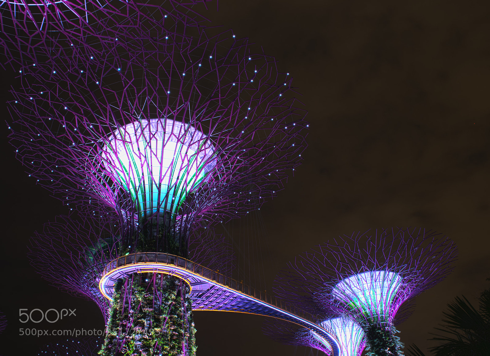 Nikon D5300 sample photo. Gardens by the bay photography