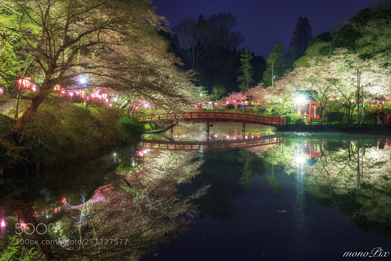 Sony a7R III sample photo. Cherry trees at night photography