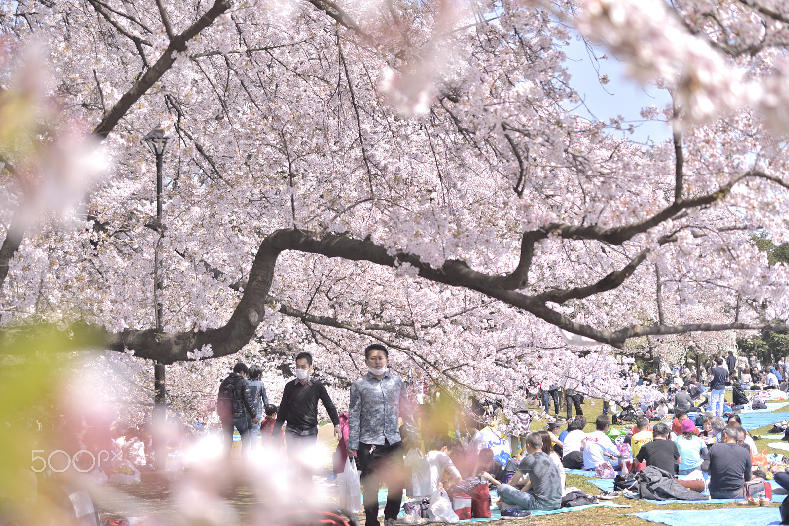 Nikon AF-S DX Micro Nikkor 40mm F2.8 sample photo. From the place photography