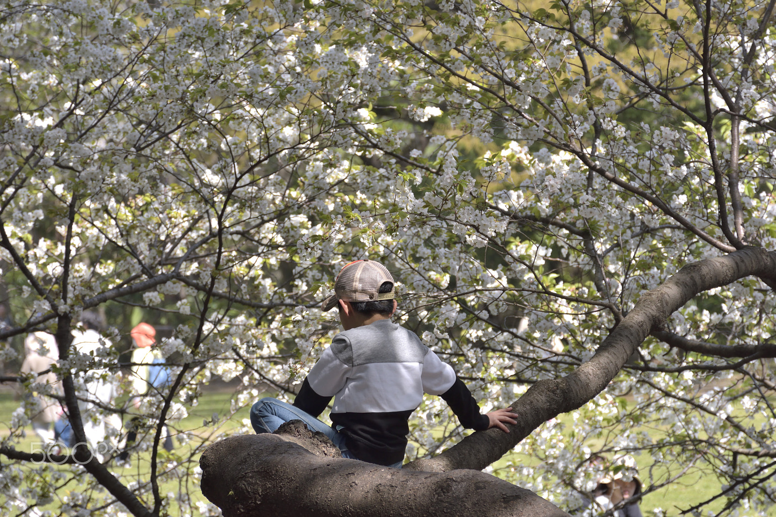 Nikon D5500 sample photo. A boy who is wondering something photography