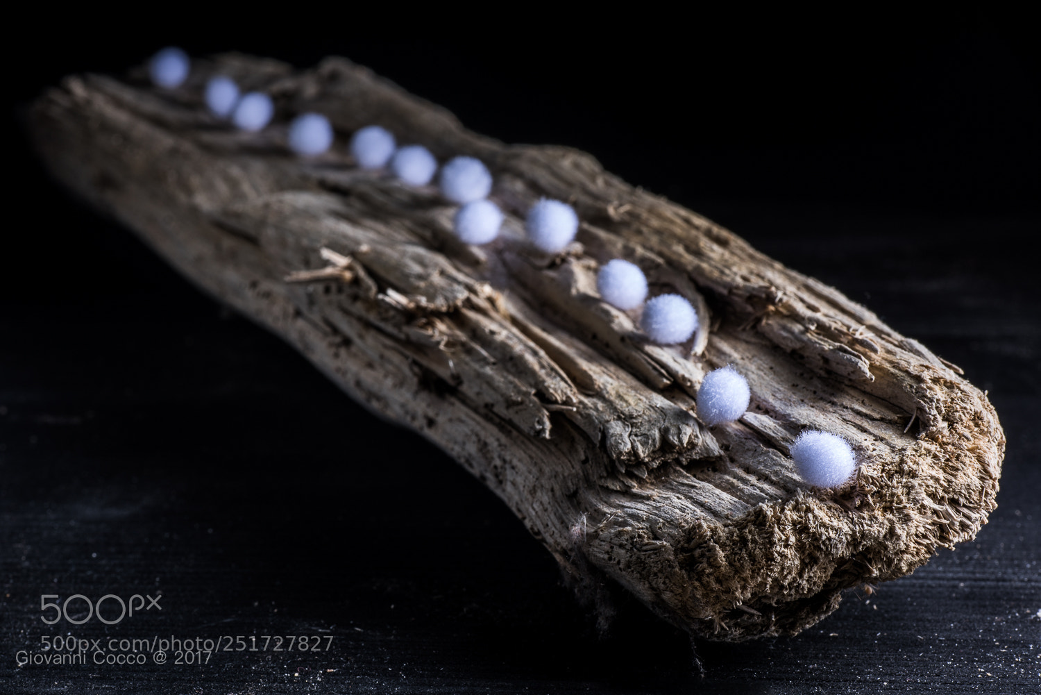 Nikon D810 sample photo. White photography