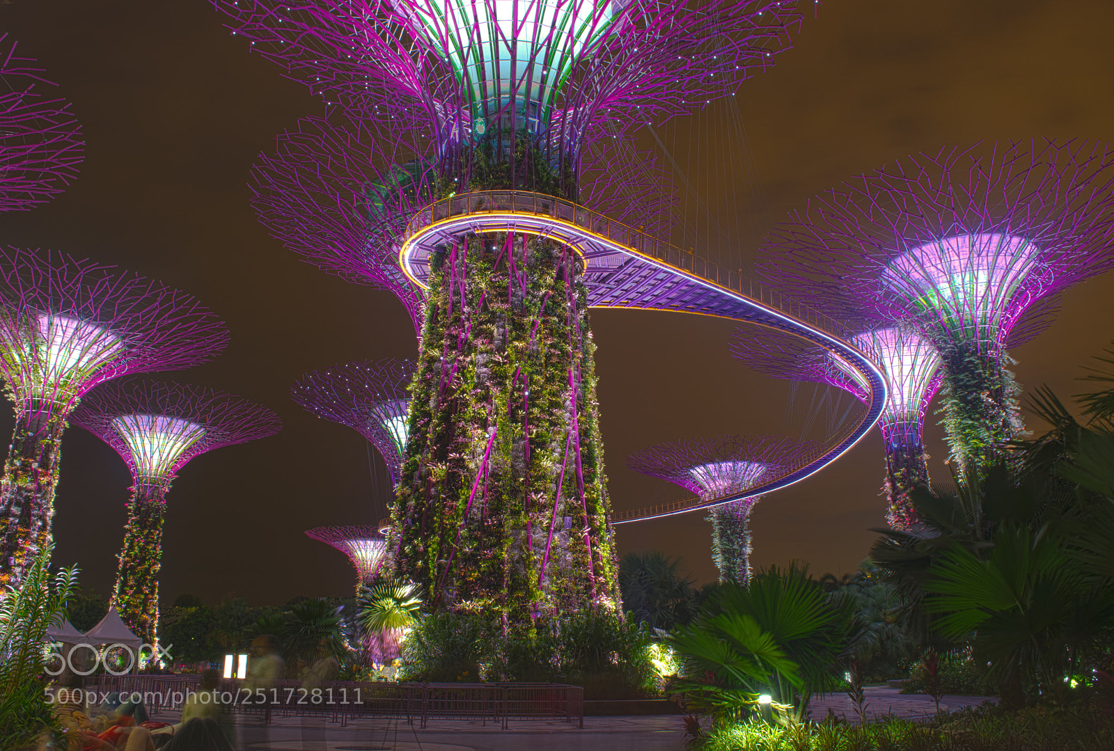 Nikon D5300 sample photo. Gardens by the bay photography