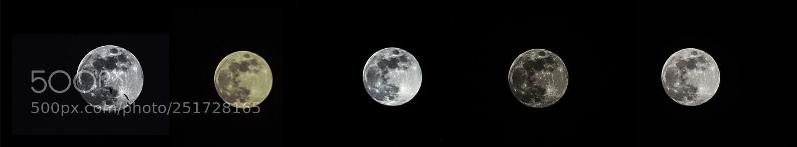 Nikon D810 sample photo. Moon on easter photography