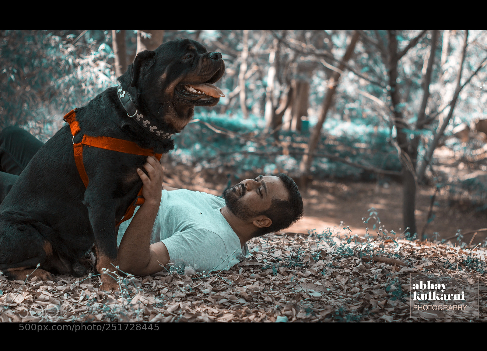 Canon EOS 600D (Rebel EOS T3i / EOS Kiss X5) sample photo. Bollywood pet family photography