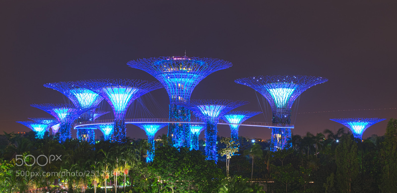 Nikon D5300 sample photo. Gardens by the bay photography