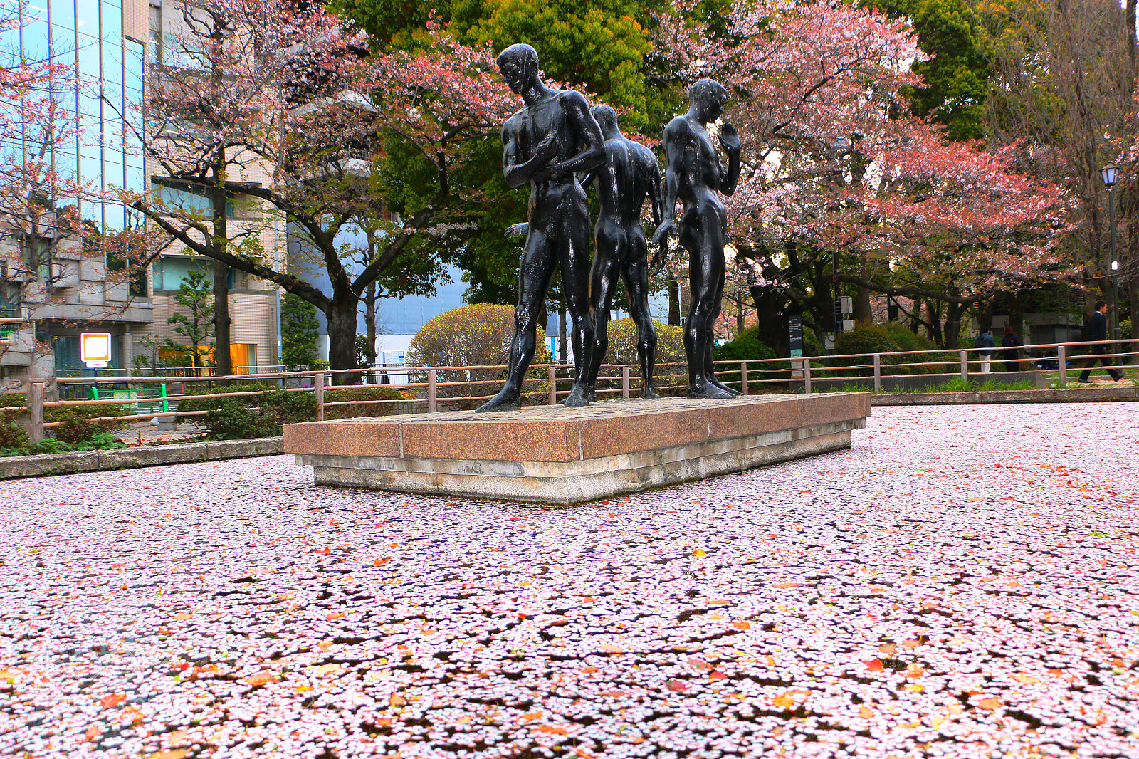 Canon EOS 70D sample photo. Sakura pool photography