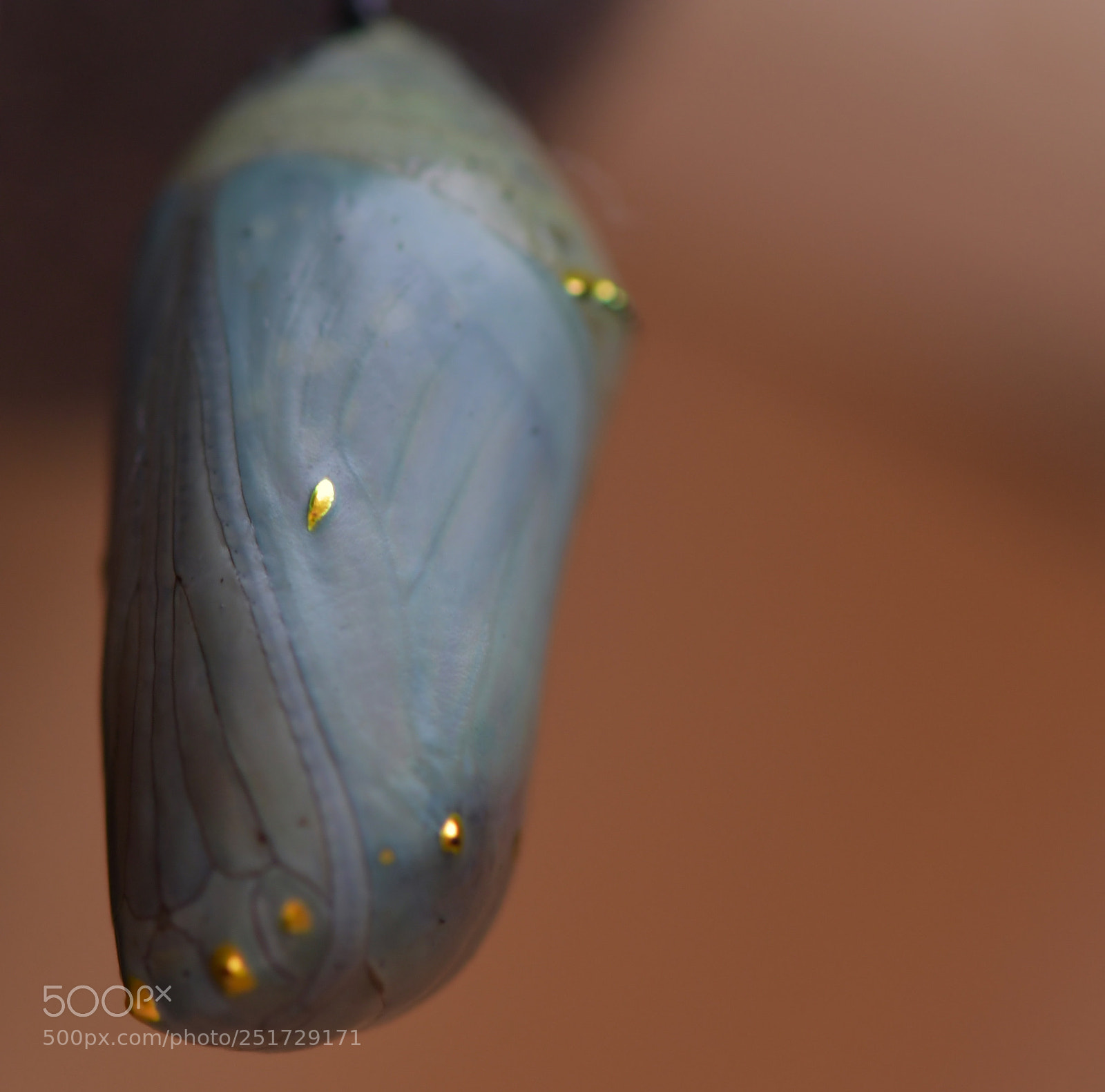 Nikon D7500 sample photo. Untitled photography