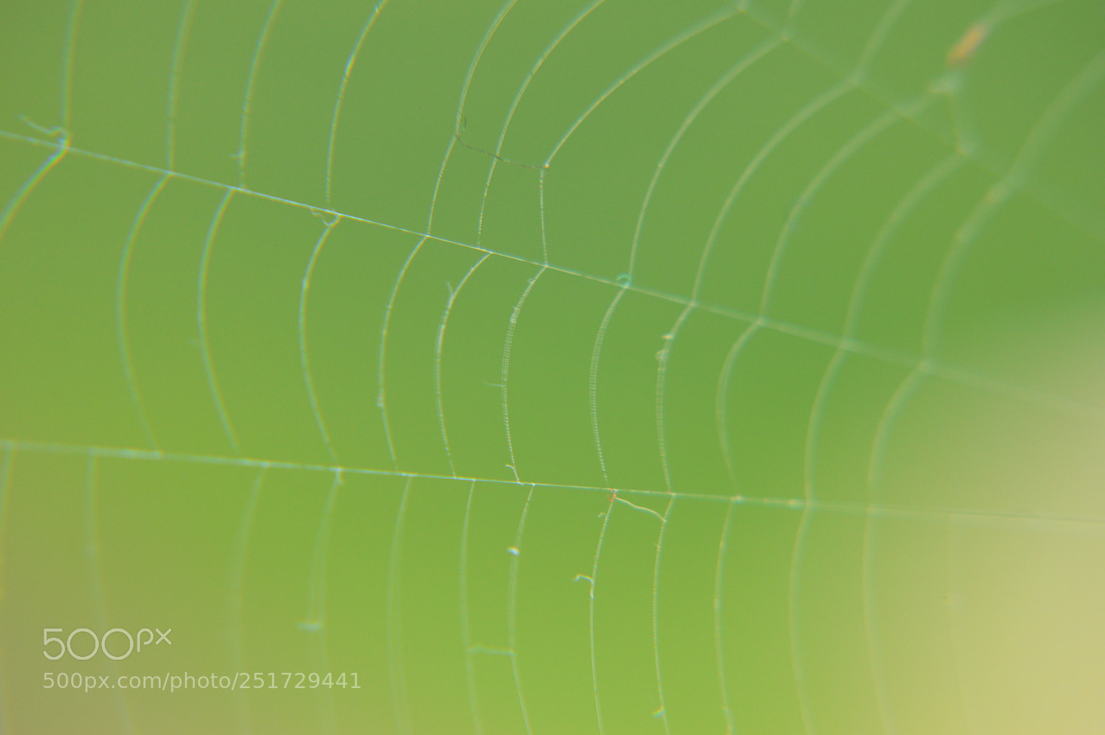 Nikon D3200 sample photo. Web photography