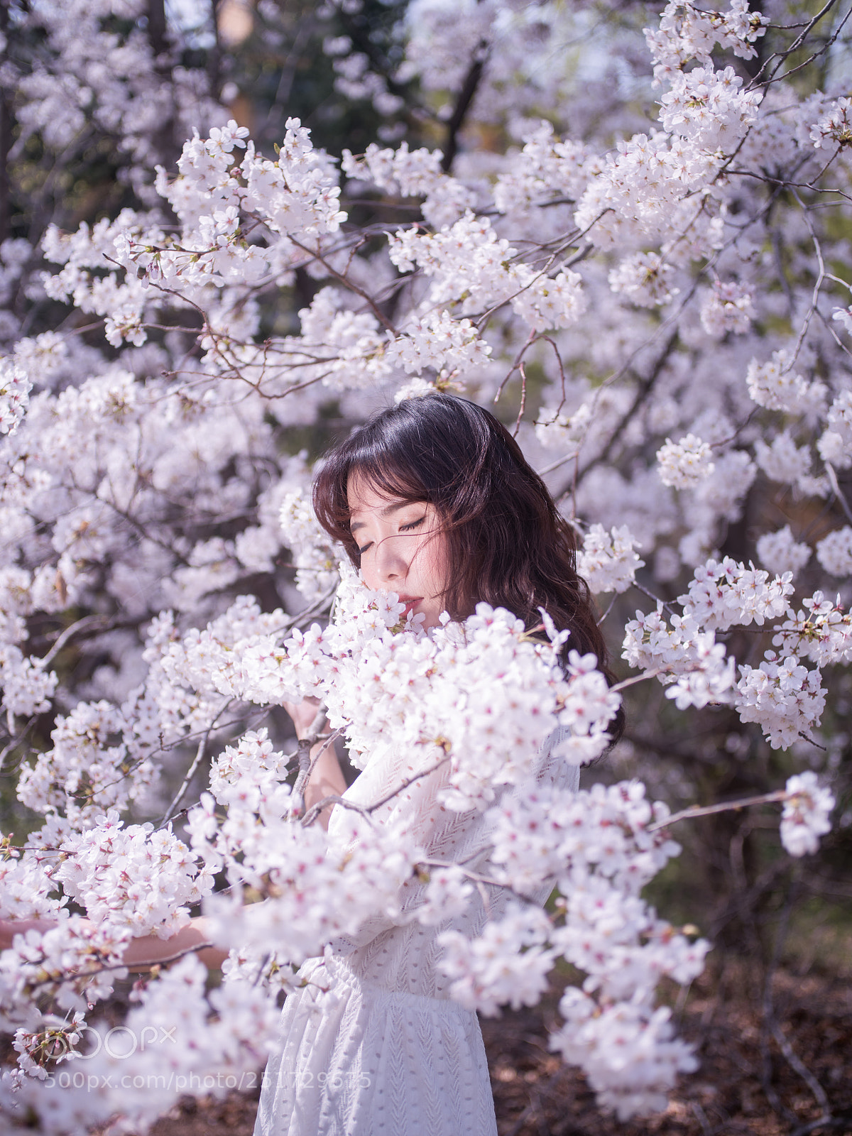 Pentax 645Z sample photo. Blossom in youth photography