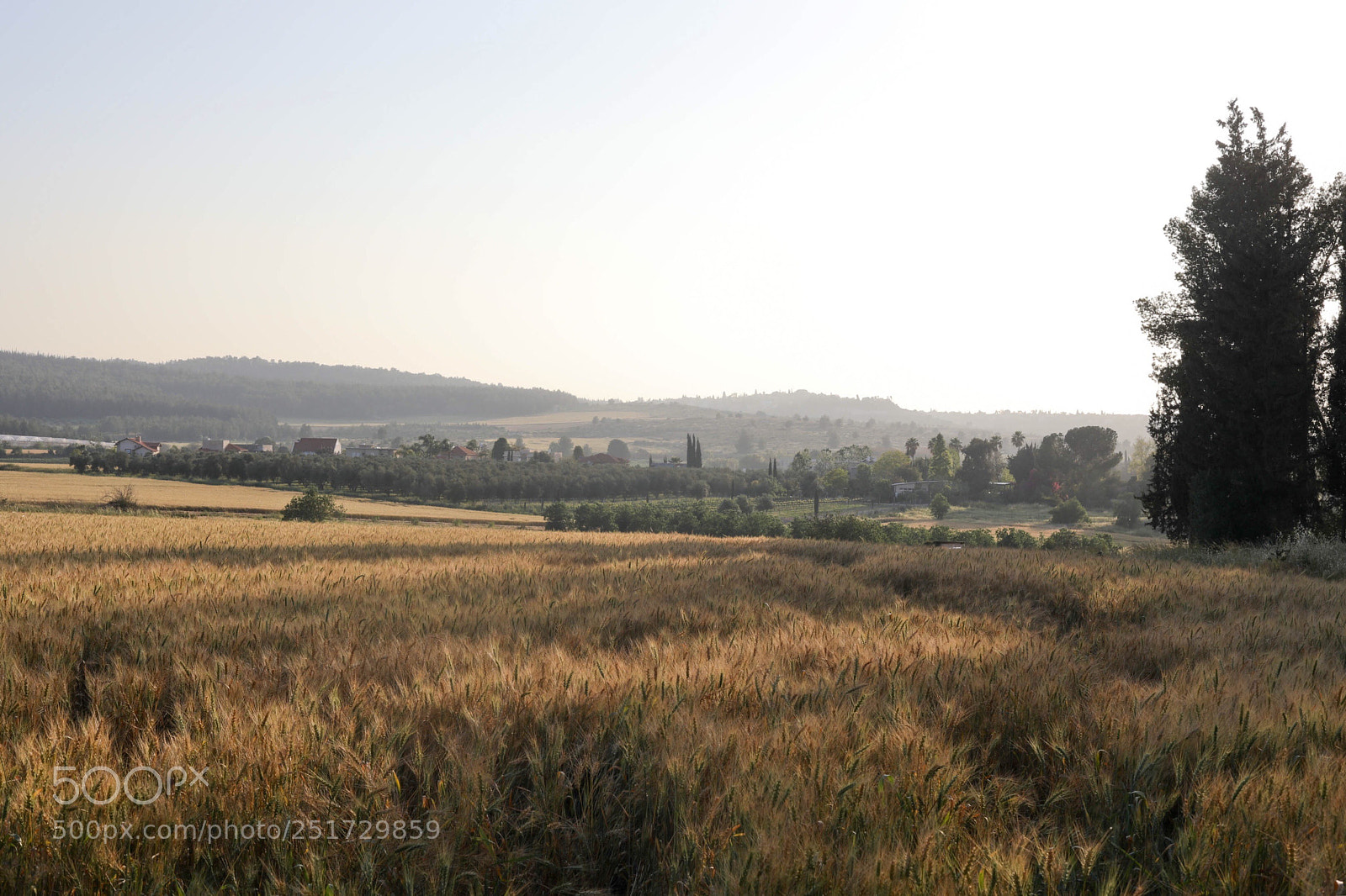 Canon EOS 5D Mark IV sample photo. Untitled photography